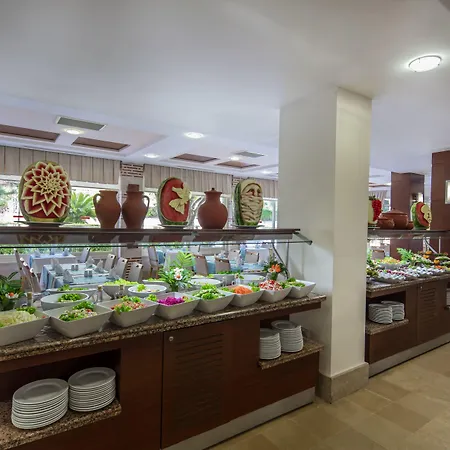 Trendy Adults Only 锡德