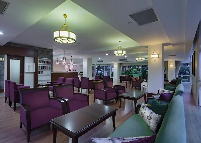 Trendy Adults Only Side