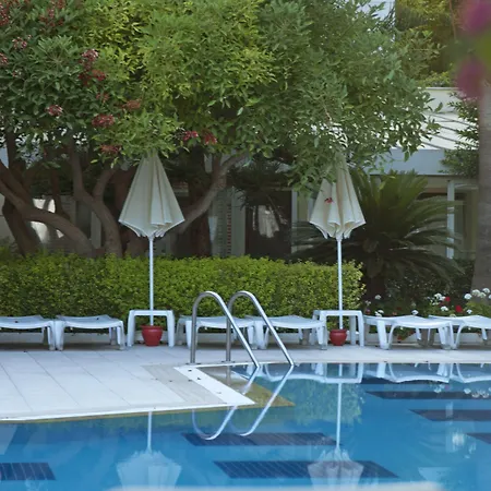 Trendy Adults Only فندق