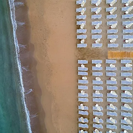 Hotel Trendy Adults Only