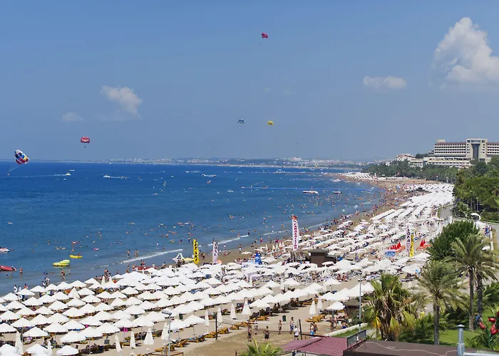 Trendy Adults Only Side