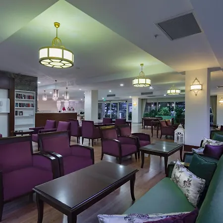 Trendy Adults Only Side